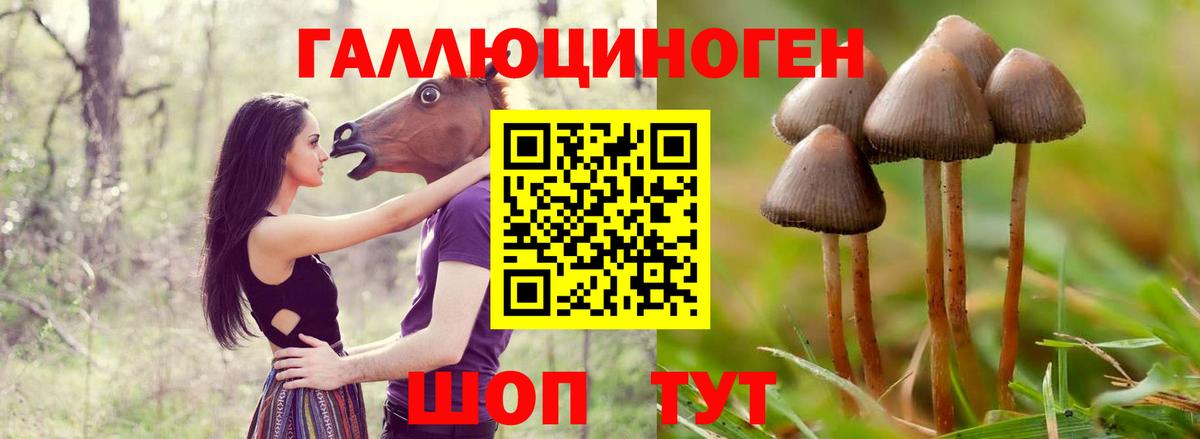 Полевской  Галлюциногенные грибы GOLDEN TEACHER  Вход с VPN 